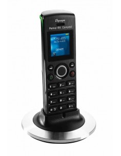 DECT Partner RX COMPACT 2